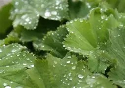 欧冠5大最快进球纪录：替补维尼修斯10.12秒，决赛马尔蒂尼53秒的简单介绍